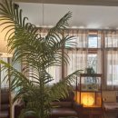 던비매드(Don´t Be Mad) 이미지