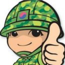 517포대