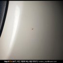 기아 BIKE | 자동차 컴파운드 불스원 OMG 샤인 컴파운드