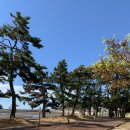 솔모루펜션 - 34946 | 솔모루펜션