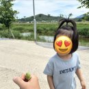 미성자판기 | 군위 가볼만한곳 리틀포레스트 촬영지 아기랑 금요일 방문 후기