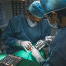 로덴치과의원 이미지