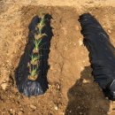 서수원농자재마트 이미지