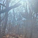 창원대산 Daum카페
