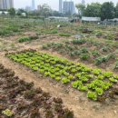 서강석농장 이미지