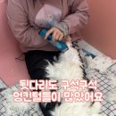 미용하냥 이미지