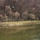 진안천물길 이미지