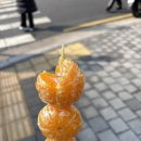 폭스탕후루