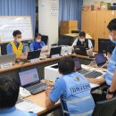 완도11호 이미지