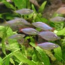 용궁농장 이미지