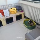 삼멍삼냥 이미지