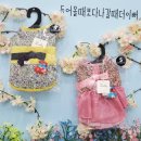 개묭실 네이버블로그