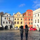 2457 | [체코 체스키 크룸로프 1일 여행] 직접 다녀온 후기 + 마이리얼트립 차량 투어 정보 팁