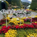 2025년12월13일 영암월출산(445회차)송년산행 이미지