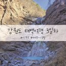 여여한사생활 이미지