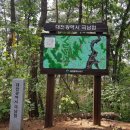 5월 19일 한밭언저리길 / 대전의 남쪽 땅 끝을 찾아서 이미지
