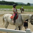 한국경마축산고등학교 이미지
