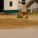 마지커피 이미지