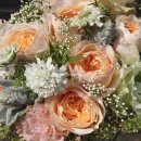 더 올림(The Ollim) 이미지