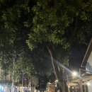 신성산업 | 대만 화산1914 창의문화 산업단지 실내 소품 등 볼거리 많은 곳 저녁 방문 후기