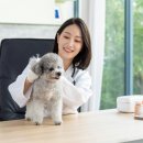 보정동물병원 이미지