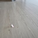 씨유제주용인아파트점 | 강마루찍힘 이사 전 거실 주방 부분복원으로 원상복구한 후기