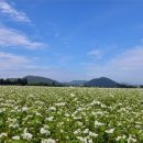 해남2호 이미지