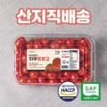 피삼십일 이미지
