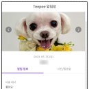 견발소 이미지