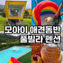 와우애견 | 가평 모아이 애견동반 풀빌라 펜션 숙소 수영장 인피니티풀 카페 후기