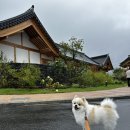 보리은백한의원 이미지