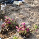 진호농장 이미지