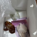 미송인삼