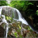 국골민박 이미지