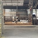 중원농장 이미지