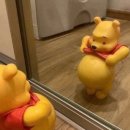니옷내옷
