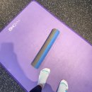 몸짱만들기 GYM | [안양] 범계역 PT 추천 몸짱만들기 GYM에서 수업후기