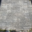 괴산군탄생600주년기념공원 이미지