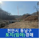 천안시병천면매성보건진료소 | 천안시 토지(임야) 경매, 동남구 병천면 토지(임야) 경매