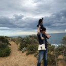 탕웨이 카카오 검색결과