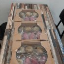 장흥보건진료소 이미지