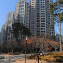 서울주니어소아청소년과의원 이미지