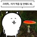 플랜얼라이언스