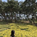 원촌문화역사마을영농조합법인 | 충남가볼만한곳 충남여행지 5곳 알프스마을 유기방가옥 궁남지 선샤인랜드