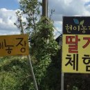 현이농장 이미지