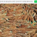 일도철물