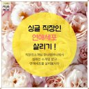 더봄컴퍼니