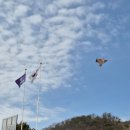 충북 음성 캠핑장 아이들을 위한곳 솔부엉이캠핑장 후기
