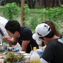 아일랜드정선 Daum카페