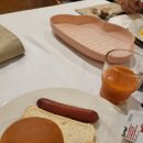 유채하우스 | 함께하는 4월 제주여행기 7 - 제주의 셋째 날 1 (Feat. 제주 유채꽃 숨은 명소, 섭지코지 글라스하우스)